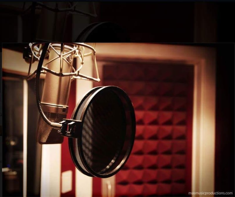 Professional and Engaging TV Ad Voice Over to Elevate Your Brand