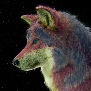 Profile photo for Alex Grosh