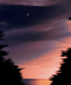 Profile photo for Fatiha arfaa