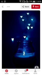 Profile photo for Shalini Singh Rawat