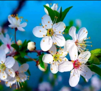 Profile photo for Sunita verma