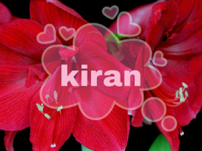 Profile photo for Kiran n r