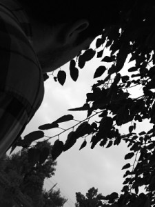 Profile photo for Abdelrahman Khalid Hamed