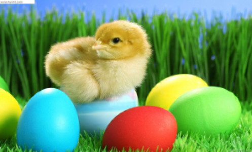 Profile photo for sam kumar