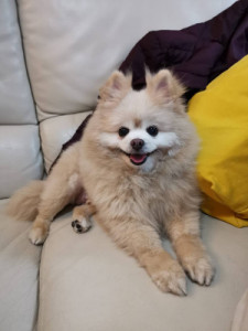 Profile photo for Kwok Ka Tin