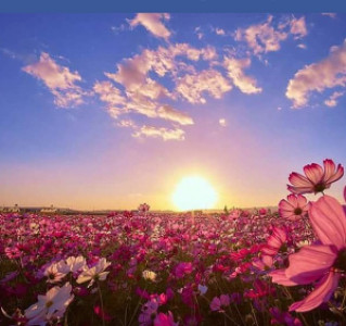 Profile photo for LaKeisha Watson