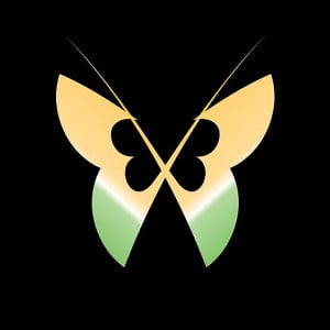 Profile photo for Pramod vishwakarma