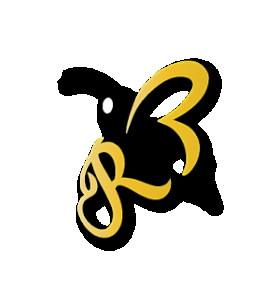 Profile photo for Randy Bee
