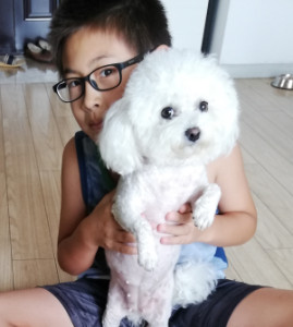 Profile photo for Kaiwen Wang