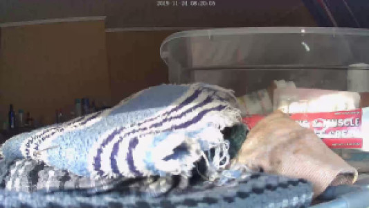 Profile photo for Joshua Weaver