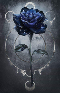 Profile photo for Salma Abdurahman