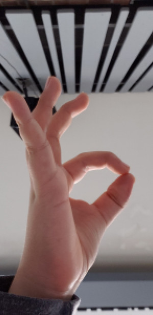 Profile photo for Sohan Sanjeev