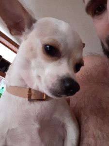 Profile photo for Brandon Vick