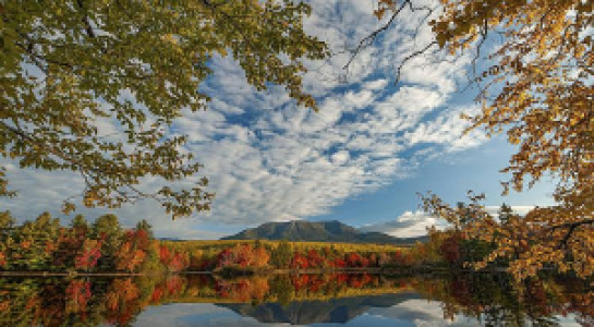 Profile photo for Karan Mahendra Kadam