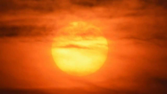 Profile photo for Renu Gaurav