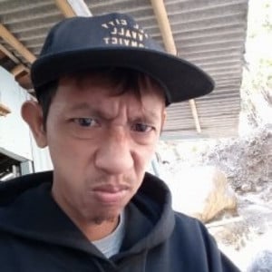 Profile photo for Widodo Widodo