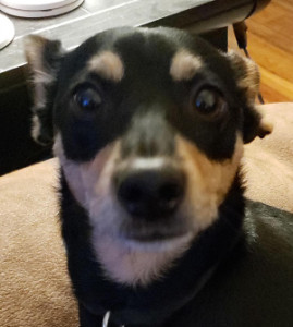 Profile photo for Remington Ridley