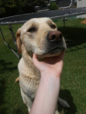 Profile photo for Erin Nell