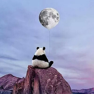 Profile photo for Kathy Kang