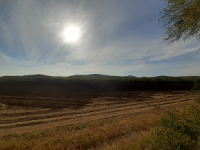 Profile photo for Marifer Medina