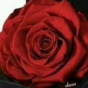 Profile photo for Nita Hinduja