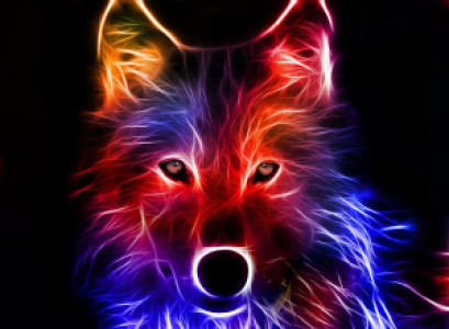 Profile photo for Matthew Stevens