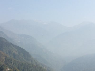 Profile photo for Sony Karl