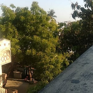 Profile photo for Rajesh gandrothu