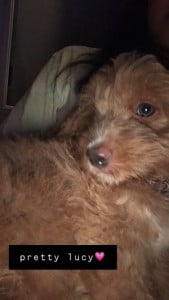 Profile photo for juana ramirez