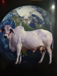 Profile photo for Rupa Kottamaraju