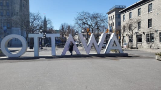 Profile photo for Ayesha Maqbool