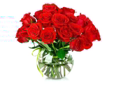 Profile photo for SHYNI THOMAS