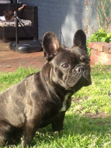 Profile photo for Oliver Q