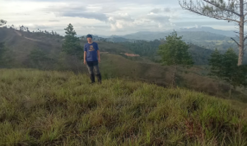 Profile photo for Melki Tosua