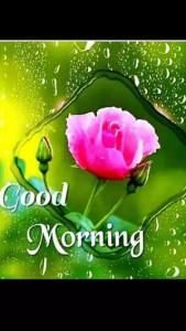 Profile photo for Manohar Manohar