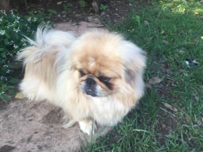 Profile photo for Bradley Loock