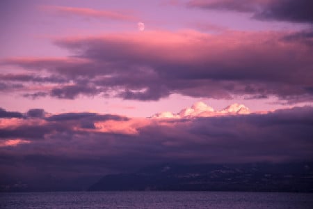 Profile photo for Nicholas Stout