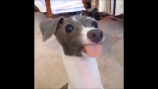 Profile photo for Alice May