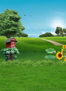 Profile photo for saniya saleem