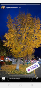 Profile photo for Pooja Nandigama