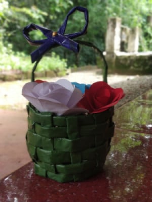 Profile photo for linta vincent