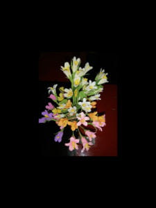 Profile photo for Bindu Ajithkumar