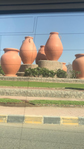 Profile photo for Anila Sailesh