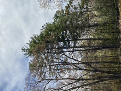 Profile photo for Eliza Lowell