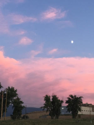 Profile photo for Maria Gabriela Rodriguez