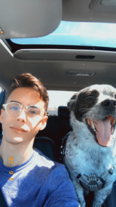 Profile photo for Miguel Marino