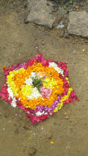 Profile photo for Vinduja Nandakumar