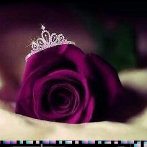 Profile photo for Alina simon