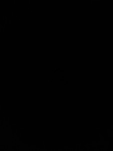 Profile photo for Bharathi Bharathi