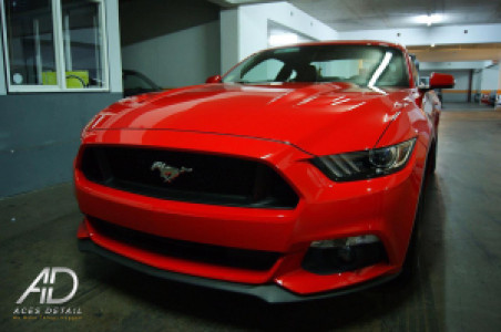 Profile photo for Pedro Salas